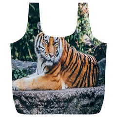 Animal Big Cat Safari Tiger Full Print Recycle Bags (l)  by Celenk