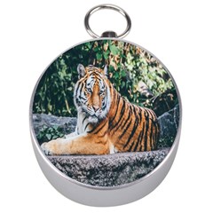 Animal Big Cat Safari Tiger Silver Compasses by Celenk