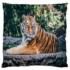 Animal Big Cat Safari Tiger Standard Flano Cushion Case (one Side) by Celenk