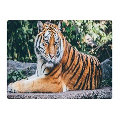 Animal Big Cat Safari Tiger Double Sided Flano Blanket (mini)  by Celenk