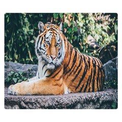 Animal Big Cat Safari Tiger Double Sided Flano Blanket (small)  by Celenk