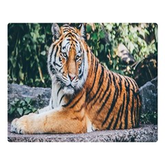 Animal Big Cat Safari Tiger Double Sided Flano Blanket (large)  by Celenk