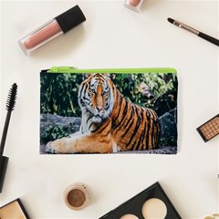 Animal Big Cat Safari Tiger Cosmetic Bag (xs) by Celenk