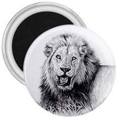 Lion Wildlife Art And Illustration Pencil 3  Magnets by Celenk