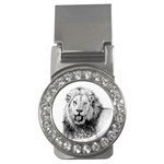 Lion Wildlife Art And Illustration Pencil Money Clips (CZ)  Front