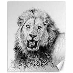 Lion Wildlife Art And Illustration Pencil Canvas 16  X 20   by Celenk