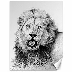 Lion Wildlife Art And Illustration Pencil Canvas 36  X 48   by Celenk