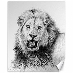 Lion Wildlife Art And Illustration Pencil Canvas 11  X 14   by Celenk