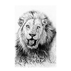 Lion Wildlife Art And Illustration Pencil Shower Curtain 48  X 72  (small)  by Celenk