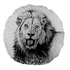 Lion Wildlife Art And Illustration Pencil Large 18  Premium Round Cushions