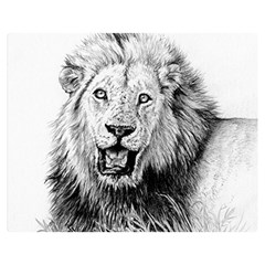 Lion Wildlife Art And Illustration Pencil Double Sided Flano Blanket (medium)  by Celenk