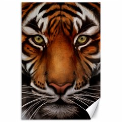 The Tiger Face Canvas 24  X 36  by Celenk