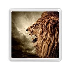 Roaring Lion Memory Card Reader (square)  by Celenk