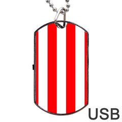 Wide Red and White Christmas Cabana Stripes Dog Tag USB Flash (One Side)