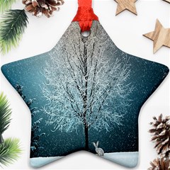 Winter Wintry Snow Snow Landscape Ornament (star) by Celenk