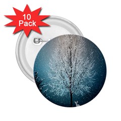 Winter Wintry Snow Snow Landscape 2 25  Buttons (10 Pack)  by Celenk