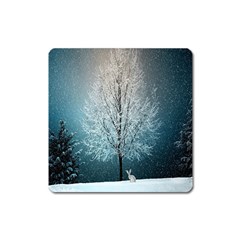 Winter Wintry Snow Snow Landscape Square Magnet by Celenk