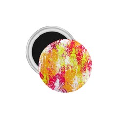 Painting Spray Brush Paint 1.75  Magnets