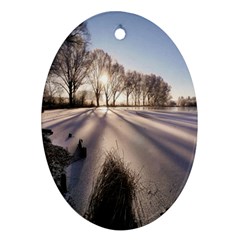 Winter Lake Cold Wintry Frozen Ornament (oval) by Celenk