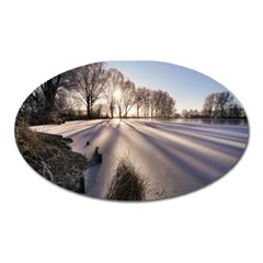 Winter Lake Cold Wintry Frozen Oval Magnet by Celenk