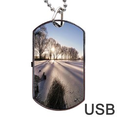 Winter Lake Cold Wintry Frozen Dog Tag Usb Flash (one Side) by Celenk