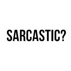 Me Sarcastic Never Satin Scarf (oblong) by FunnyShirtsAndStuff