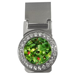 Christmas Season Floral Green Red Skimmia Flower Money Clips (cz)  by yoursparklingshop