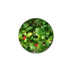 Christmas Season Floral Green Red Skimmia Flower Golf Ball Marker (10 Pack) by yoursparklingshop