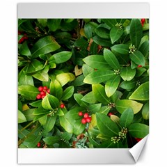 Christmas Season Floral Green Red Skimmia Flower Canvas 16  X 20   by yoursparklingshop