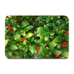 Christmas Season Floral Green Red Skimmia Flower Plate Mats by yoursparklingshop