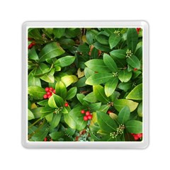 Christmas Season Floral Green Red Skimmia Flower Memory Card Reader (square)  by yoursparklingshop