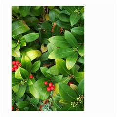 Christmas Season Floral Green Red Skimmia Flower Small Garden Flag (two Sides) by yoursparklingshop