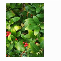 Christmas Season Floral Green Red Skimmia Flower Large Garden Flag (two Sides) by yoursparklingshop