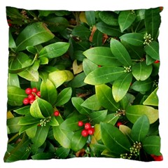 Christmas Season Floral Green Red Skimmia Flower Large Cushion Case (two Sides) by yoursparklingshop