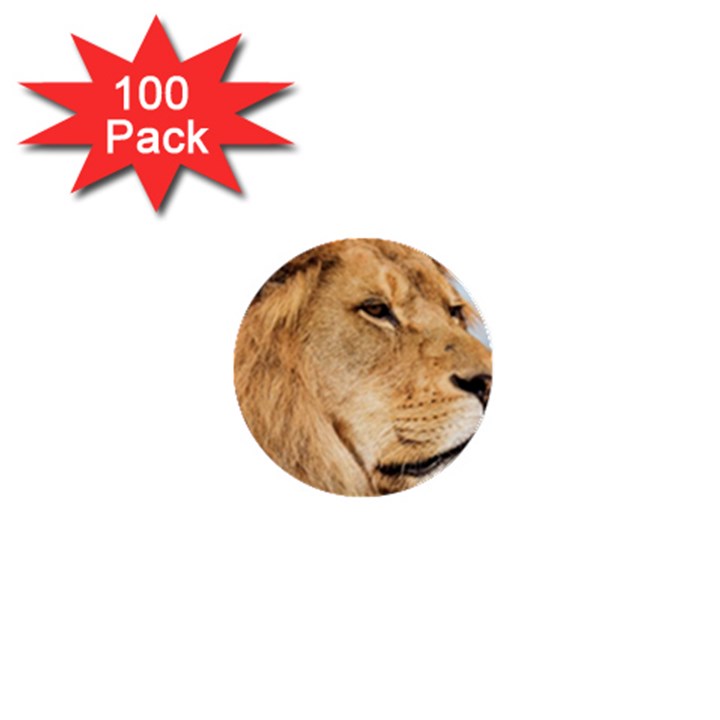 Big male lion looking right 1  Mini Buttons (100 pack) 