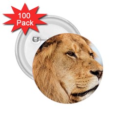 Big Male Lion Looking Right 2 25  Buttons (100 Pack)  by Ucco