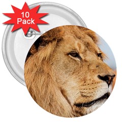 Big Male Lion Looking Right 3  Buttons (10 Pack)  by Ucco