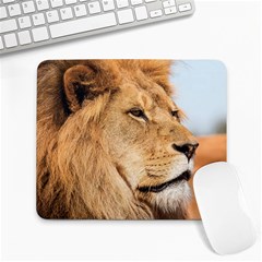 Big Male Lion Looking Right Large Mousepads by Ucco