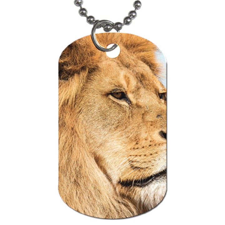 Big male lion looking right Dog Tag (One Side)