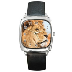 Big Male Lion Looking Right Square Metal Watch by Ucco