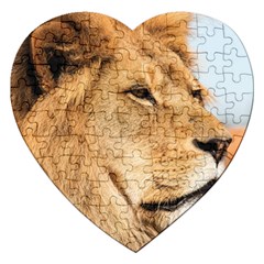 Big Male Lion Looking Right Jigsaw Puzzle (heart) by Ucco