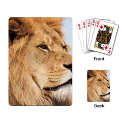 Big Male Lion Looking Right Playing Card by Ucco