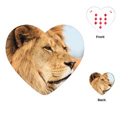 Big Male Lion Looking Right Playing Cards (heart)  by Ucco