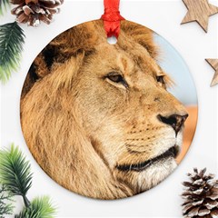 Big Male Lion Looking Right Round Ornament (two Sides) by Ucco