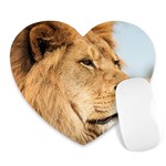 Big male lion looking right Heart Mousepads Front