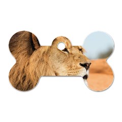 Big Male Lion Looking Right Dog Tag Bone (two Sides) by Ucco