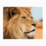 Big male lion looking right Small Glasses Cloth (2-Side) Back