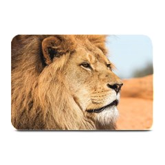 Big Male Lion Looking Right Plate Mats by Ucco