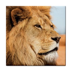 Big Male Lion Looking Right Face Towel by Ucco