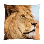 Big male lion looking right Standard Cushion Case (One Side) Front